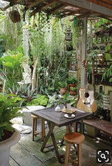 In this café room, the air hums with the soft whispers of nature.