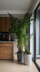 Enhancing the Lobby Atmosphere with Natural Elements