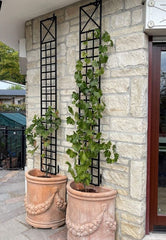 Trellis Plant Support Stands - Set of 3