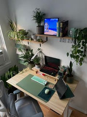DAUGHTER ROOM,Enhancing Your Study Room with Plants
