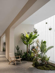 A Botanical Oasis in a Contemporary Setting,appartment lobby