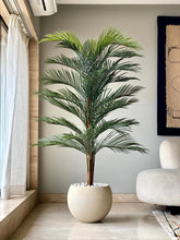 LONG POTS WITH BIG LEAVES FOR ENTERANCE