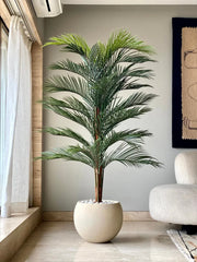 LONG POTS WITH BIG LEAVES FOR ENTERANCE