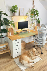 SURROUND YOURSELF WITH LOVE AND GREENERY,STUDY ROOM 15 X 15,Space Where Ideas Come to Life