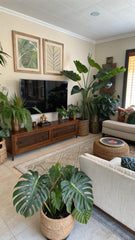 TV Room with Plants – the perfect blend of comfort and nature!