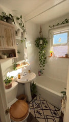 bathroom plant, A Lush Green Escape