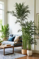 A Grand Entrance with Nature’s Elegance,appartment lobby