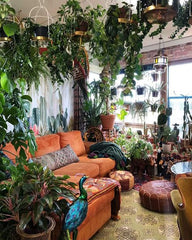 A Refreshing Green Haven,LIVING ROOM