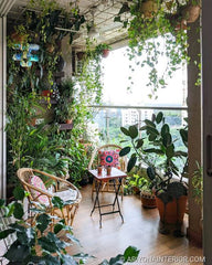 BALCONY,Transforming Your Balcony into a Green Oasis