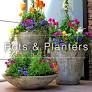pots and plants