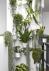 CORNER OF ROOM,A Vertical Garden for Small Corners