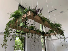 RECEPTION PLACE WITH GREEN PLANTS,ENHANCE PLACE,The reception area blossoms with life when adorned with plants, creating a perfect blend of professionalism and warmth.