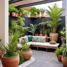 LONG AND SHORT PLANTS IN BALCONY,;A Writer’s Retreat: