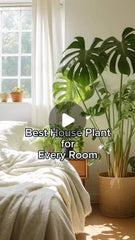 DEAR DAUGHTER SURROUND YOURSELF WITH LOVE AND GREENERY