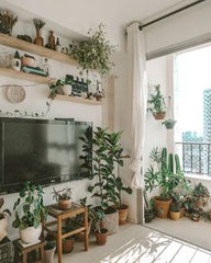 Create a calming vibe in your TV room