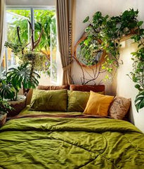 BED ROOMOF OLIVE GREEN WITH PLANTS,WITH BEAUTIFUL COLORED CUSHIONS