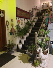 CLIMBING THE LADDER TO TRANQUILITY WITH MY LEAFY FRIENDS