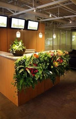 RECEPTION WITH FRONT PLANT BORDER