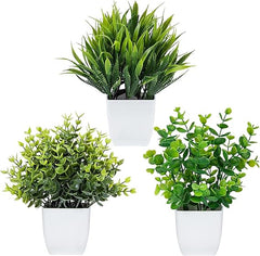 Comfortable 3BHK (Basic) Plant Decor Pack