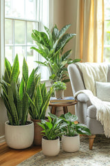 A living room filled with plants is a space that breathes beauty and balance.