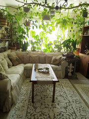 A Green Sanctuary of Comfort,LIVING ROOM