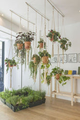 RECEPTION WITH HANGING BASKETS