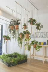 RECEPTION WITH HANGING BASKETS