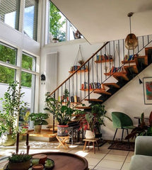 Modern Elegance: Sleek and Stylish Greenery