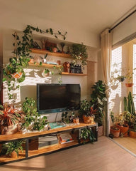 Create a calming vibe in your TV room