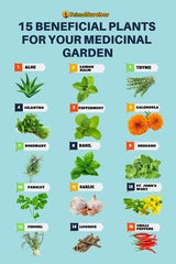 medicinal plants