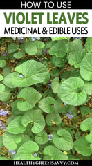 Violet Leaves – gentle, healing, and full of nature’s goodness! These heart-shaped green leaves are known for their soothing