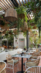 CAFE ROOM,A Café Oasis: Blending Nature with Comfort