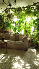 STYLE ROOTED IN NATURE,LIVING ROOM,20 X 20,A Warm and Inviting Retreat