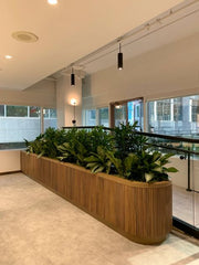 Customizing the Plant Selection to Match the Lobby Style