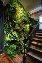 ELEVATE YOUR SPACE---LITERALLY--- WITH PLANTS NEAR STAIRS