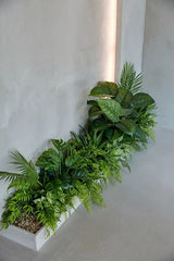 Low-Maintenance Greenery for Hassle-Free Upkeep