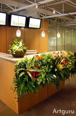 RECEPTION WITH FRONT PLANT BORDER