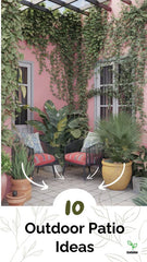 Layering Different Plant Heights for a Lush Look