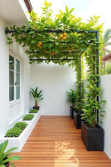 "Creepers are nature’s delicate artists, weaving their way gracefully along walls, trellises,