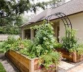 Trellis Plant Support Stands - Set of 3