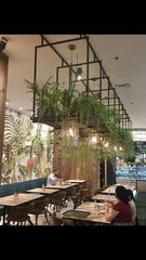 CAFE ROOM,Bringing the Outdoors In with a Living Wall