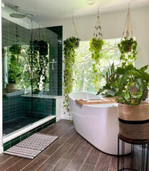 A Luxurious Green Spa,BATHROOM