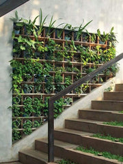 Elevate Your Stairs with Nature’s Charm