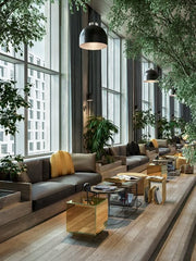 A Luxurious Lobby with Natural Elements