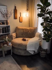 Choosing the Right Plants for a Corner Space