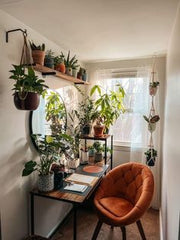 LET YOUR BRANCH OUT,A study room with plants creates a calm and inspiring space for learning and focus.