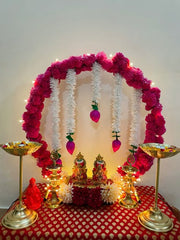 beyond aesthetics, plants symbolize growth, prosperity, and positivity,