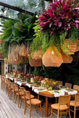 CAFE ROOM,A Botanical Café Experience