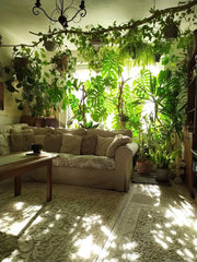 A Cozy Botanical Escape