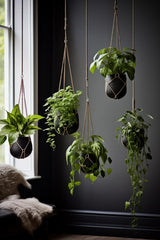 Bringing Life to the Corner of a Room with Plants